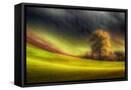 Framed Canvas