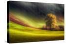 Stretched Canvas
