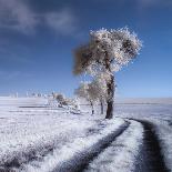 Spring Fields-Piotr Krol (Bax)-Photographic Print