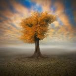 Autumn Fields-Piotr Krol-Photographic Print