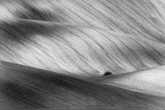 Lonesome-Piotr Krol-Photographic Print