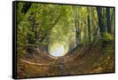 Canvas Black