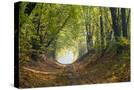 Stretched Canvas
