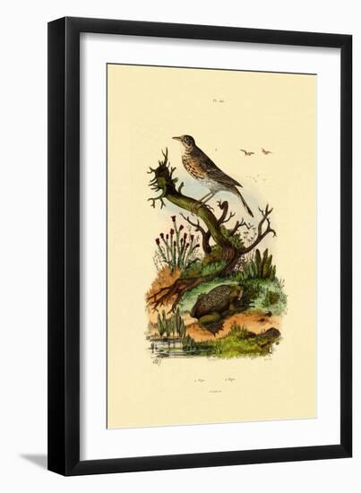 Pipa, 1833-39-null-Framed Giclee Print