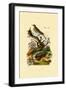 Pipa, 1833-39-null-Framed Giclee Print