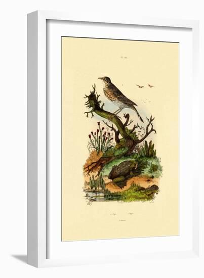 Pipa, 1833-39-null-Framed Giclee Print