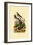 Pipa, 1833-39-null-Framed Premium Giclee Print