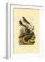 Pipa, 1833-39-null-Framed Premium Giclee Print