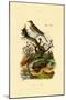 Pipa, 1833-39-null-Mounted Premium Giclee Print