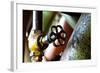 Pipe and Valve-Dana Styber-Framed Photographic Print