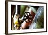 Pipe and Valve-Dana Styber-Framed Photographic Print