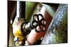 Pipe and Valve-Dana Styber-Mounted Photographic Print