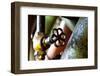 Pipe and Valve-Dana Styber-Framed Photographic Print