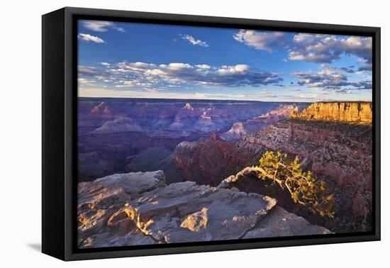 Pipe Creek Vista Point Overlook, South Rim, Grand Canyon Nat'l Park, UNESCO Site, Arizona, USA-Neale Clark-Framed Stretched Canvas