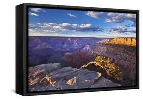 Pipe Creek Vista Point Overlook, South Rim, Grand Canyon Nat'l Park, UNESCO Site, Arizona, USA-Neale Clark-Framed Stretched Canvas