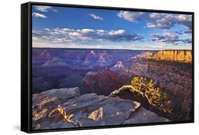 Pipe Creek Vista Point Overlook, South Rim, Grand Canyon Nat'l Park, UNESCO Site, Arizona, USA-Neale Clark-Framed Stretched Canvas