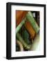 Pipe Dreams II-Dana Styber-Framed Photographic Print