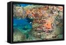 Framed Canvas