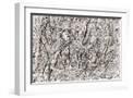 White Frame
