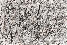 Laminate