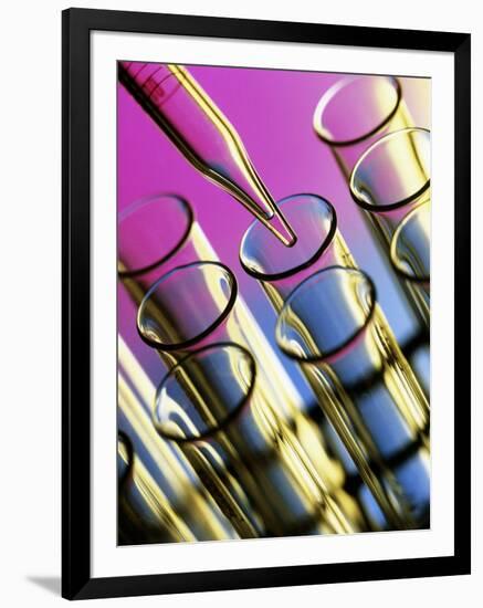 Pipette Adding Fluid To One of Several Test Tubes-Tek Image-Framed Photographic Print