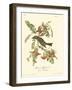 Pipiry Flycatcher-John James Audubon-Framed Art Print