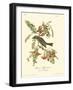 Pipiry Flycatcher-John James Audubon-Framed Art Print