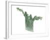 Pippa's Pale Green T-Shirt, 2003-Miles Thistlethwaite-Framed Giclee Print