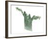 Pippa's Pale Green T-Shirt, 2003-Miles Thistlethwaite-Framed Giclee Print