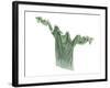 Pippa's Pale Green T-Shirt, 2003-Miles Thistlethwaite-Framed Giclee Print