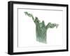 Pippa's Pale Green T-Shirt, 2003-Miles Thistlethwaite-Framed Giclee Print