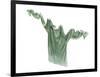 Pippa's Pale Green T-Shirt, 2003-Miles Thistlethwaite-Framed Giclee Print