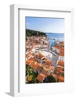 Piran and Tartini Square-Matthew Williams-Ellis-Framed Photographic Print