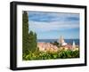 Piran, Primorska, Slovenia. Overeall view of the town and of St. George's cathedral from the Tow...-null-Framed Photographic Print