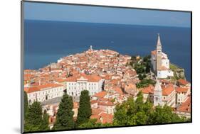 Piran, Primorska, Slovenia. Overeall view of the town and of St. George's cathedral from the Tow...-null-Mounted Photographic Print