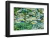 Piraputanga, reflected in water, Mato Grosso do Sul, Brazil-Franco Banfi-Framed Photographic Print