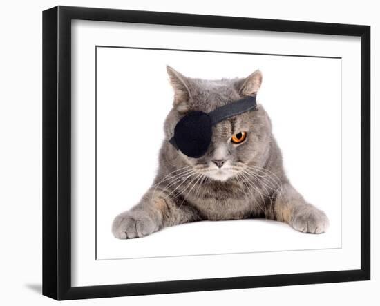 Pirate Cat-eAlisa-Framed Photographic Print