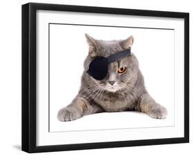 Pirate Cat-eAlisa-Framed Photographic Print