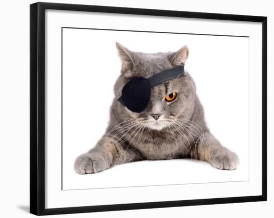 Pirate Cat-eAlisa-Framed Photographic Print