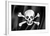 Pirate Flag, Jolly Roger-daboost-Framed Art Print