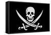 Pirate Flag of Calico Jack Rackham-null-Framed Stretched Canvas