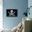 Pirate Flag of Calico Jack Rackham-null-Stretched Canvas displayed on a wall