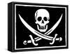 Pirate Flag-null-Framed Stretched Canvas