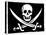 Pirate Flag-null-Stretched Canvas