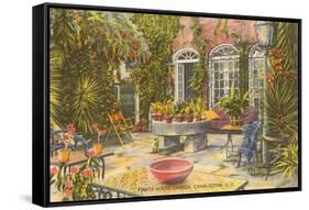 Pirate House Garden, Charleston, South Carolina-null-Framed Stretched Canvas