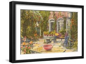 Pirate House Garden, Charleston, South Carolina-null-Framed Art Print