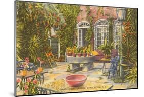 Pirate House Garden, Charleston, South Carolina-null-Mounted Art Print