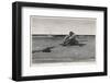 Pirate is Dumped by His Companions-Howard Pyle-Framed Premium Photographic Print