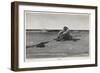 Pirate is Dumped by His Companions-Howard Pyle-Framed Photographic Print
