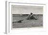 Pirate is Dumped by His Companions-Howard Pyle-Framed Photographic Print